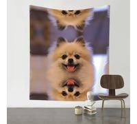 HJFCZH Happy short-haired pomeranian Prints Wall Decor Tapestry 60x51in - Boho Dorm Room Backdrop, Beach Blanket & Stylish Sofa Throw