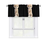 HJFCZH Kitten On Sticker Prints Kitchen Window Cover - 54x18 Inch Peach Skin Valance for Soft Lighting & Easy Style