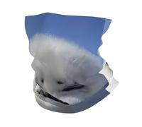 HJFCZH Polar Bear Prints Multi-Functional Sport Throw - Seamless, Quick-Dry Headwear for Hiking, Cycling, and Beyond!
