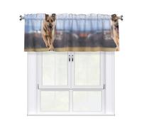 HJFCZH Running german shepherd dog Prints Kitchen Window Cover - 54x18 Inch Peach Skin Valance for Soft Lighting & Easy Style