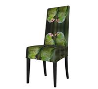 HJFCZH Two Parrots on Green Palm Tree Prints Protection Cover for Dining Chair - Stretch Slipcovers, Renew Your Chairs Instantly, No Ironing Needed, Fits Most Standard Chairs