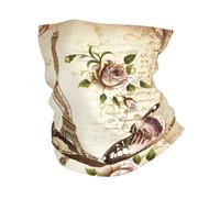 HJFCZH Vintage Paris Eiffel Tower Butterfly Prints Great Performance Head Wrap Multifunctional Soft & Stretchy Polyester Sport Towel