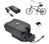 HJGHY Li-ion Batteries 24V 12Ah 20Ah E-bike Batteries 36V 18Ah 15Ah Frog-Shaped Lithium Battery 48V 10Ah 15Ah Seat Post Lithium Battery with Charger,24V10Ah