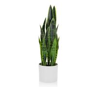hjh OFFICE Artificial Plant SANSEVIERIA Snake Plant with Plastic Pot height 65 cm Faux Plant for Home Decor green