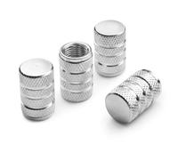 HJIAMIN 4 Pcs Tire Valve Stem Caps for Lexus NX 300 2018-2021, Dust Proof Valve Cover Tyre Valve Caps Car Caps with Gasket Corrosion Resistant,Silver