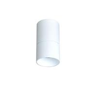 HJLJKG Round Wall Mounted Downlight LED European Open Hole Living Room Home COB Ceiling Ceiling Spotlight 8W Mount Spotlight Chandelier Energy Saving Lamp Outdoor Lights (Color : White)