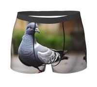 HJLUUFT License Plate Print Men's Trunks Underwear - Men's Boxer Briefs - Comfortable Total Support Pouch Boxer Briefs, Grey Pigeon, Medium