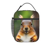 HJLUUFT Squirrel Funny Animal Stitch Lunch Bag - Durable and Insulated Bento Lunch Box Cooler Bag for Adults, and Toddler