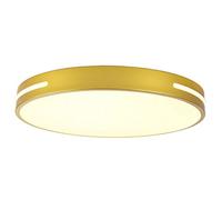 HJMMHX Contemporary LED Ceiling Light Fixture 19.7in Colorful Round Recessed Light Side Lighting for Bedroom Kitchen Bathroom 3 Color Temperatures Gold Finish