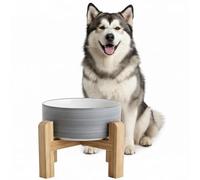 hjn Elevated Ceramic Dog Bowl with Bamboo Stand, Raised Pet Feeding Station for Small Medium Dogs Cats, Modern Design with Anti-Slip Base (White Gray, 7.6Cup)