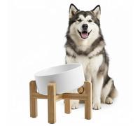 hjn Elevated Dog Bowl Set, Ceramic Double Bowls with Bamboo Stand, 15° Raised Pet Feeder for Medium Lrage Dogs and Cats, Non-Slip Heavy Weighted Design (White, 7.6)