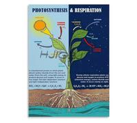 HJNAOKGWHQ Plant Science Poster Photosynthesis and Cellular Respiration Reference for Biology Classroom(Unframed,16x24inch(40x60cm))