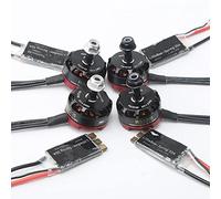 hJNGdU RC Compatible QAV250 X210 Brushless Motor RS2205 2205 2300KV CW CCW With LittleBee 20A 30A BLHeli_S ESC Compatible with Multicopter Drone(RS2205 20A ESC 4PCS)