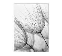 HJOSWVNS Canvas Wall Art Grey Black Flower Wall art for Living Room Bathroom Pictures Kitchen Wall Art Pictures for Living Room Canvas Prints Photo Canvas Wall Painting No Frame 50x70cm/1 Pcs