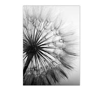 HJOSWVNS Canvas Wall Art Grey Dandelion Wall art for Living Room Bathroom Pictures Kitchen Wall Art Pictures for Living Room Canvas Prints Photo Canvas Wall Painting No Frame 20x30cm/1 Pcs