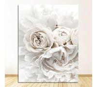 HJOSWVNS Canvas Wall Art White Flower Wall art for Living Room Bathroom Pictures Kitchen Wall Art Pictures for Living Room Canvas Prints Photo Canvas Wall Painting No Frame 40x60cm/1 Pcs