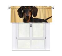 HJTRW Valance for Windows, Blackout Kitchen Window Curtains with Rod Pocket,Thermal Insulated Curtain Valance A Cute Dachshund Short Window Treatment Valance 54" W x 18" L, 1 Panel