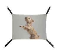 HJUQNGF Cat Hammock Soft Breathable Pet Hanging Hammock with Metal Hooks A Scruffy Puppy Sleeping Hammock Portable Cat Cage Bed for Cats Small Dogs Small Animals