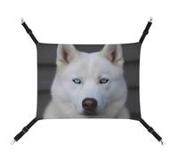 HJUQNGF Cat Hammock Soft Breathable Pet Hanging Hammock with Metal Hooks Blue Eyed White Husky Sleeping Hammock Portable Cat Cage Bed for Cats Small Dogs Small Animals