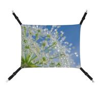 HJUQNGF Cat Hammock Soft Breathable Pet Hanging Hammock with Metal Hooks Dewdrops on Flowers Sleeping Hammock Portable Cat Cage Bed for Cats Small Dogs Small Animals