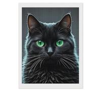 HJUQNGF Diamond Painting Kits for Adults Black Cat Green Eyes Diamond Art DIY Canvas Paintings Kits with Square Resin Gems Complete Tools Paint by Numbers Kit for Beginner 12"x16"