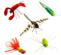 Hjvvr 5pcs Cat Insect toys,Cat Feather Toys,Kitty Fishing Road Refill,Bird Kitty Wand Toy