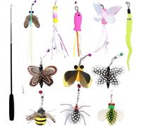 Hjvvr Cat Teaser Wand Toy Set,1 Extendable Road with 11 Attachments,Insect Feather Toy