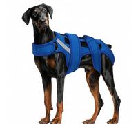Hjyokuso Dog Back Brace 2XL, Adjustable Spine Support Vest for IVDD, Slipped Disc, Herniated Disc, Arthritis, Post Surgery Recovery, Back Pain Relief for Dachshund,Corgi Blue