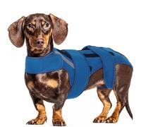 Hjyokuso Dog Back Brace L, Adjustable Spine Support Vest for IVDD, Slipped Disc, Herniated Disc, Arthritis, Post Surgery Recovery, Back Pain Relief for Dachshund,Corgi Blue