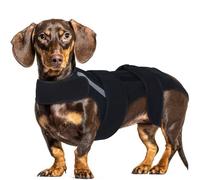 Hjyokuso Dog Back Brace L, Adjustable Spine Support Vest for IVDD, Slipped Disc, Herniated Disc, Arthritis, Post Surgery Recovery, Back Pain Relief for Dachshund,Corgi