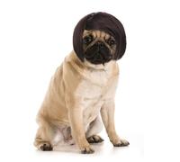 HJZHII Dog Wig, Adjustable Pet Costume Wig Headwear Dress Up Decorations for Small Medium Dog Large Funny Cosplay Cat Halloween Christmas Party Supplies Black Straight Hair