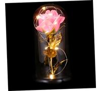 HJZZQH 3 Pcs Rose Lantern Rose Dome Pred Fresh Flower Eternal Rose Light up Roses Valentines Day Decoration Rose Lamp Valentine's Day Lamp Plastic Romantic Lights Shine Dating