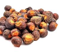 HK Dried Raw Whole Reetha Nuts Aritha Herbal Soap Nuts for Hair 500 Grams