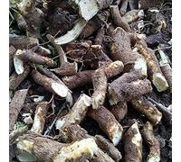 HK Pushkarmool Inula racemosa 250g Other Names are Pushkarmool, pushkarmool, Orris, Root, inula, racemosa, Pokharmool, Puskara mula, Pohakarmul, Puskar