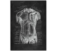 HKAHF AJWUQ Rey's Anatomy Wall Art Medical Prints Minimalism Posters Fitness Canvas Painting For Yoga Studio Home Decor Pictures 50x70cm No Frame