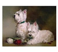 HKFLD Diamond Painting 5D DIY Kits Rhinestone Diamond Art Kits for Children Animal Westie Dog Warm Wall Decoration30x40cmf957