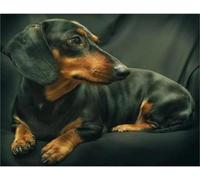 HKFLD DIY 5D Diamond Art Kits Dachshund Diamond Painting Full Round Drill Rhinestone Embroidery Canvas Presents 30 * 40CM