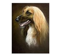 HKFLD DIY 5D Diamond Painting Kits Afghan Hound Round Square Full Drill Crystal Embroidery Cross Stitch Arts Crafts for Home Wall Decor 6k52g40x50CM