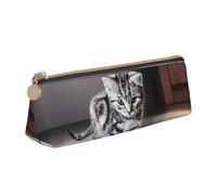 HKHLHLH Cat Pictures Big Tiger Boys Girls Pencil Case for Kids,Multi-Function Pencils Pouch Pen Box for School Work Travel