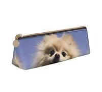 HKHLHLH Cute Pomeranian Boys Girls Pencil Case for Kids,Multi-Function Pencils Pouch Pen Box for School Work Travel