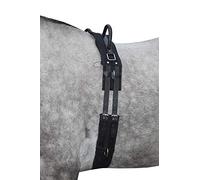 HKM 12701 Lunging Belt Canvas Fixed Double Handle Lunging Supplies Navy/Passion Pink Shetty