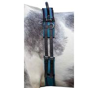 HKM 12701 Lunging Belt Canvas Fixed Double Handle Lunging Supplies Navy/Sky Blue Pony