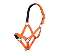 HKM 544097 Headcollar Stars Softice, Soft Lining