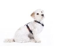 HKM Anam Cara Dog collar nylon Black/Rose-Gold S