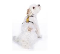 HKM Anam Cara Dog collar nylon Taupe/Yellow Gold L