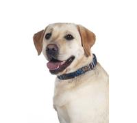 HKM Anam Cara Dog collar printed Deep Blue/Petrol L