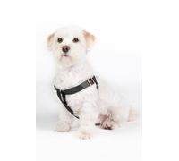 HKM Anam Cara Dogs harness Schwarz/Rosegold L