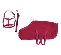 HKM Cuddle Pony Starter Set Red One Size