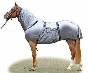 HKM Eczema Rug Security