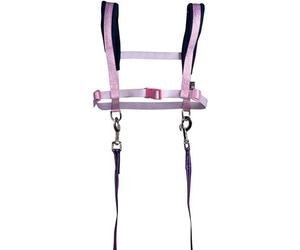 HKM Funny Horses Hearts Horse Harness, Pink/Dark Blue, One Size